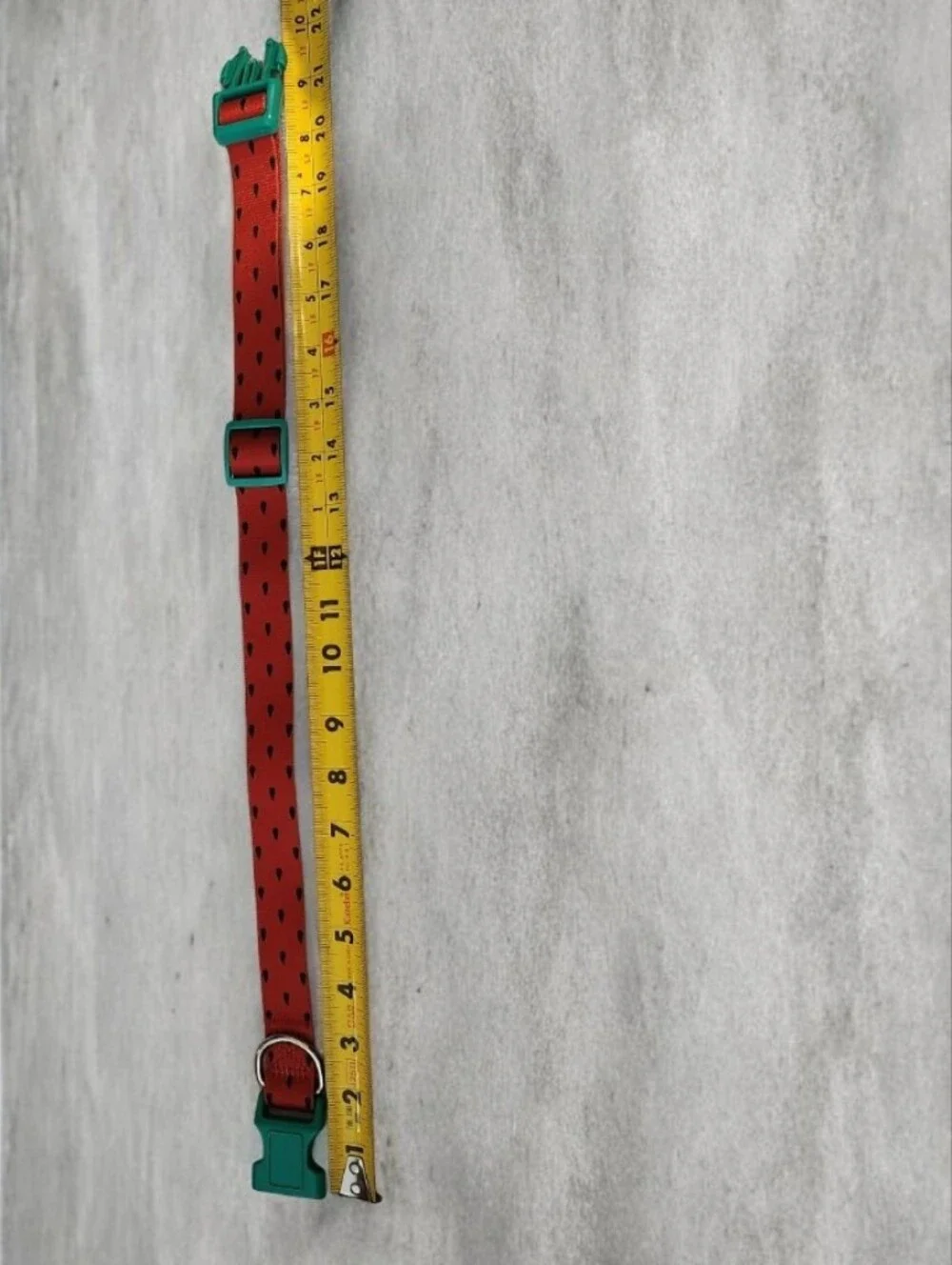 Watermelon Print Red Dog Collar with Teal Buckle■ EUC